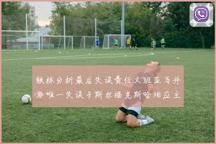 铁林分析最后失误责任文班亚马并非唯一失误卡斯尔福克斯哈珀应主动接球