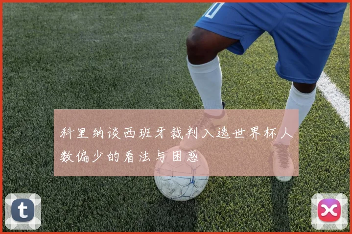 科里纳谈西班牙裁判入选世界杯人数偏少的看法与困惑